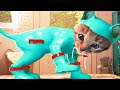 ПРИКЛЮЧЕНИЕ МАЛЕНЬКОГО КОТЕНКА мультфильм про котят мультик для детей и малышей Радугарог на #ММ