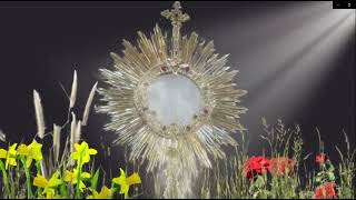 CINCO MINUTOS CON JESÚS SACRAMENTADO  Martes 24 de Junio de 2025