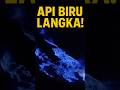 Fenomena Api Biru Ijen – Keindahan yang Muncul di Tengah Malam! #bluefire