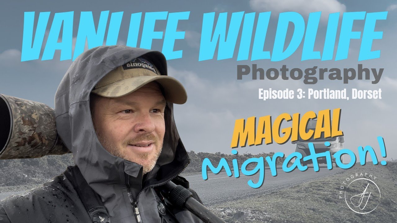 MAGICAL MIGRATION Photography on PORTLAND, Dorset with the SONY A1 (4K)