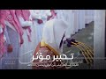 تحبير مؤثر لخواتيم سورة يوسف وفواتح سورة الرعد للشيخ محمد برهجي ليلة 17 كاملة مرئية رمضان 1445هـ تحبير مؤثر لخواتيم سورة يوسف وفواتح سورة الرعد للشيخ محمد برهجي ليلة 17 كاملة مرئية رمضان 1445هـ