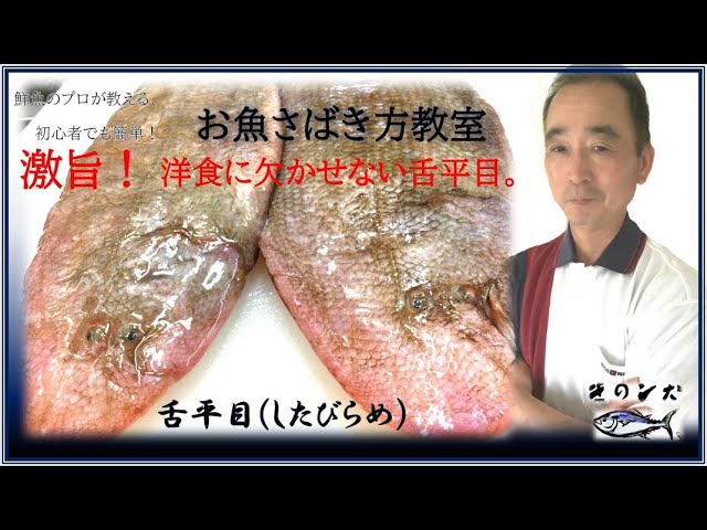 シタビラメ 舌平目 のさばき方 初心者用 ムニエル 唐揚げ 煮付け By鮮魚店 きのした生魚店 広島県東広島市西条 21 How To Fillet Sole Youtube