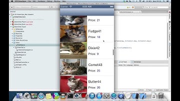 N=3: Kitten Cells on iPhone (N+1 days of MvvmCross)