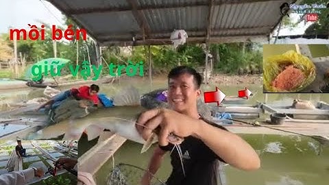 Câu cá bè Mỹ Hoà Hưng...không ngờ cá lăng ăn mồi này...quá đã...,!!