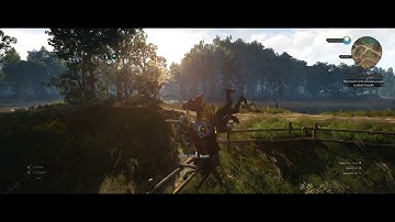 The Witcher 3 no bug challenge (IMPOSSIBLE)
