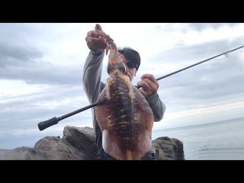 エギングでキロアップを狙うための秘訣 | The Secrets to Catching 1kg+ Squid with Eging