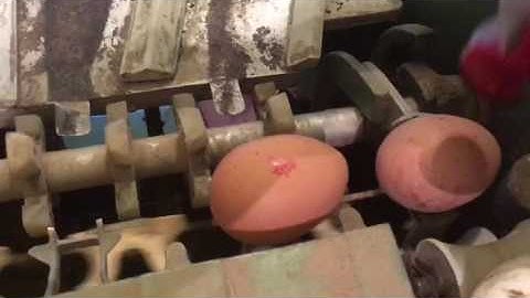 Egg Flex on Benhill 35 grader