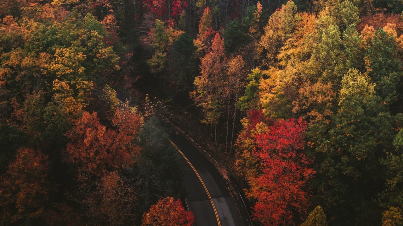 [𝙋𝙡𝙖𝙮𝙡𝙞𝙨𝙩] 가을 클래식 | 쇼팽, 드뷔시, 리스트, 노르웨이 숲