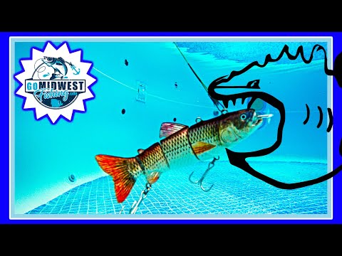 2 wt fly reel Diamondback Ideal Nymph Reel