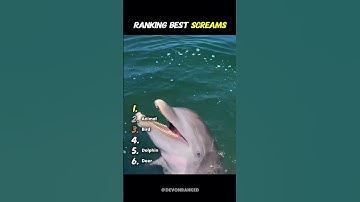 Ranking Best Screams