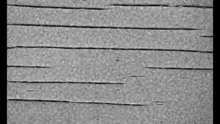 12 Aligned lines