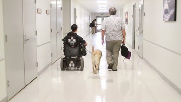 Wayfinding: Brian Kajiyama