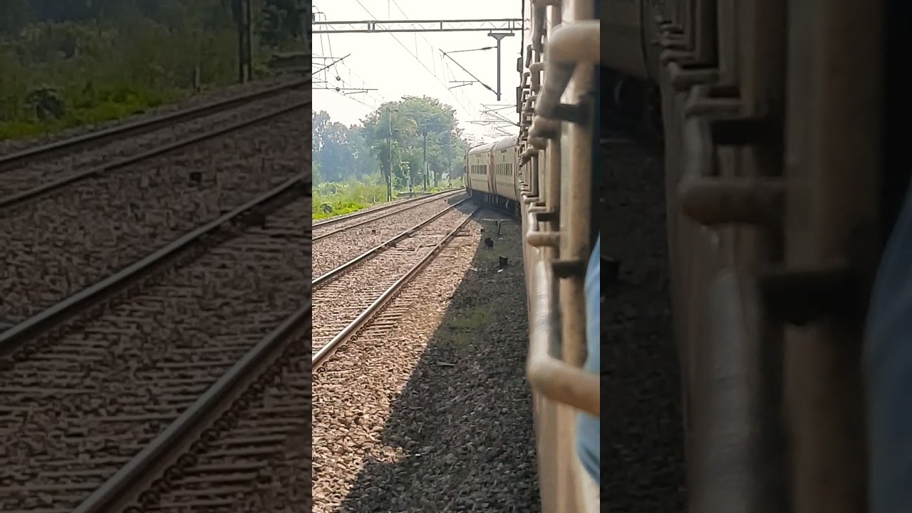 🐍🤯 Snake Curve Train Crossing 