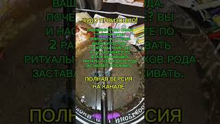 ОТСЕЧЕНИЕ КЛАДБИЩЕНСКОЙ ПОРЧИ