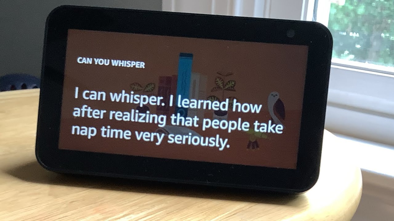 Amazon echo whisper mode
