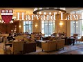 Exploring the harvard law school campus an inside look  4kr