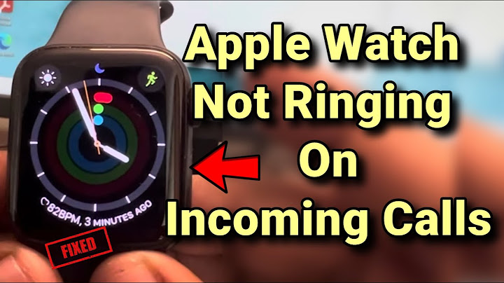 Apple watch series 5 có những loại nào năm 2024