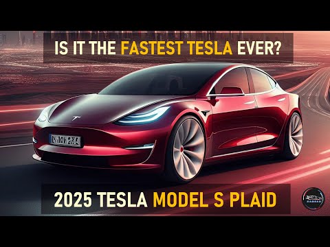 2025 TESLA MODEL