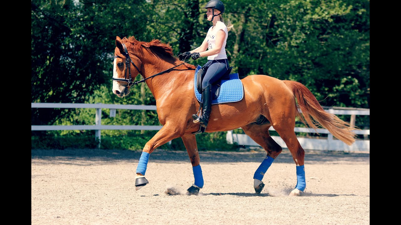 Yeah, it's gonna be alright