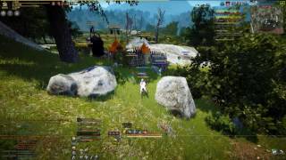 Black Desert Node war, PhantomWolves @ Epheria Valley