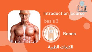 كورس التأهيل للكليات الطبية (حلقة  3 ) |  Introduction course - Anatomy Basis (Bones)