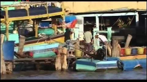 Dat mui Ca Mau - Hoang Hiep-Trong Tan