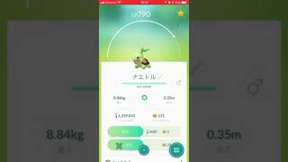 ポケモンgo ナエトル進化 Youtube