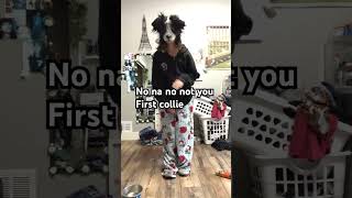 Jelp I look so short 😭 #therian #therianthropy #furry #fursuit #furries #cringe #essa