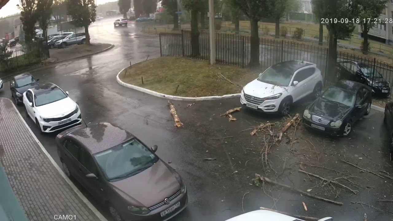 Дерево упало на машину