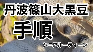 丹波篠山大黒豆、手順、シニアルーティーン、黒豆必要な方、丹波篠山の郷