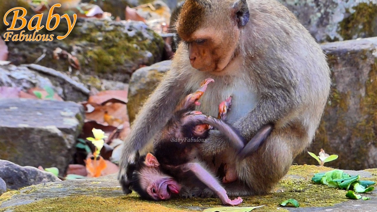 P!tyy newborn baby. Young Amaya not ready to be a real mother, Congratulations... | Baby Fabulous