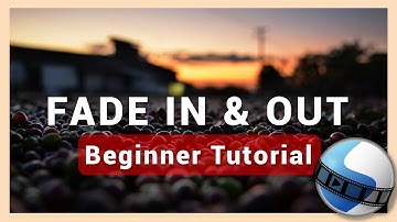 Fade In and Fade Out Effect | OpenShot Tutorial