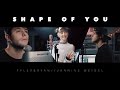 Ed sheeran  shape of you tyler  ryan ft jannine weigel