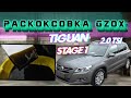 Tiguan 2.0 TSI Раскоксовка Gzox