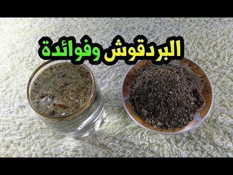 فوائد لن تتخيلها للبردقوش للكلى البردقوش كنز وفوائد عجيبة للجسم