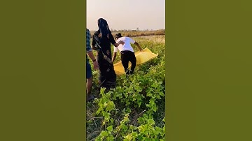 Unlock the Power of Smart Learning with Advanced Gadgets! 🌟 Take learning your journey