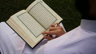 Читает Коран 📖 исламские видео-заставки для исламских видео-мантаж без музыки 🎶 🔕