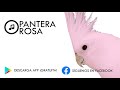 La Pantera Rosa Silbada - Educa Tu Ninfa