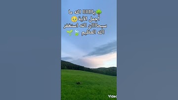 #quran #تلاوة_قرآن #القرآن_الكريم #qurankareem #خشوع #تلاوة_مؤثرة #تلاوة_خاشعة #الوطن_العربي