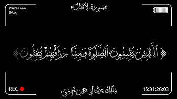 ما تيسر من سورة الأنفال|مالك عبدالرحمن فهمي