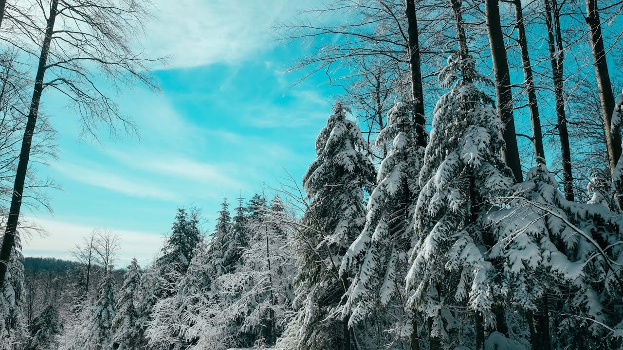Watch ⛄Beautiful Snow Forest Scene - Relaxing Piano Sleep Music: Meditation, Study & Spa- Beautiful Winter on YouTube Watch ⛄Beautiful Snow Forest Scene - Relaxing Piano Sleep Music: Meditation, Study & Spa- Beautiful Winter on YouTube