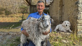 A Real Caucasian Kebab Made From Fresh Goat. This Should Be Eaten Only In Nature