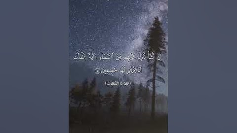 تلاوة عطرة من سورة الشعراء بصوت القارئ يحيى رشاد من صلاة التهجد#قرآن #قرآن_كريم #قرآن_بصوت_جميل