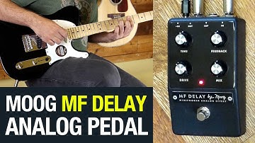 Moog MF Delay | MiniFooger Analog Delay Pedal Demo