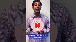 Hyperthyroidism vs Hypothyroidism Explained in 1 Minute