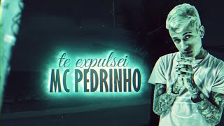 MC Pedrinho - Te Expulsei Prod.Caio Passos (Lyric Video) screenshot 5