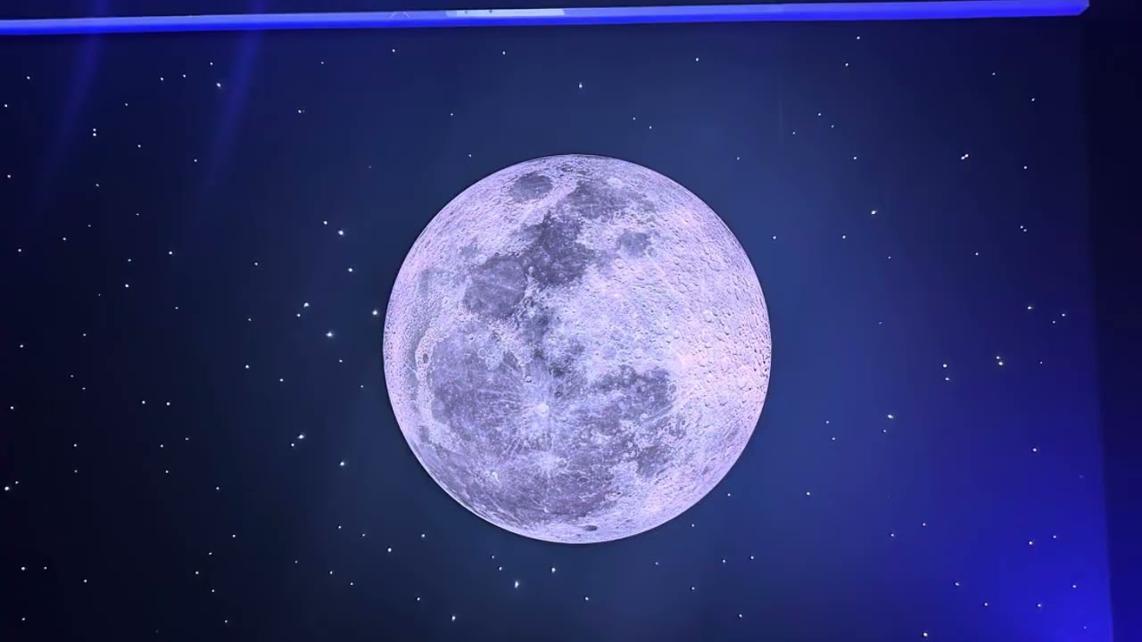 万博2回目！朝イチで行ってきた🦦｛vol.008｝