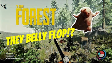 TURTLE SHELL SLEDDING - THE FOREST