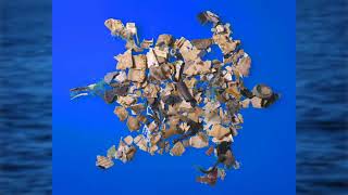 The Impact of Marine Debris on Ocean Life