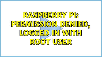Raspberry Pi: Permission denied, logged in with root user